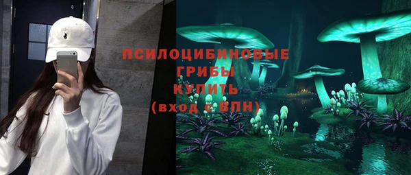 соль ск Абинск