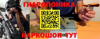 PSILOCYBIN Гатчина