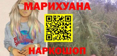 PSILOCYBIN Гатчина