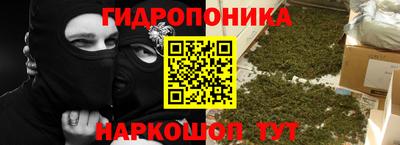 PSILOCYBIN Гатчина