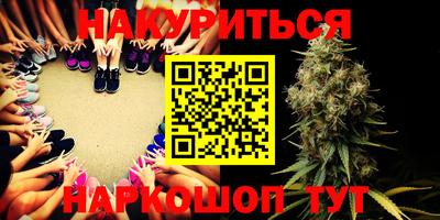 PSILOCYBIN Гатчина