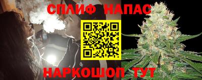 PSILOCYBIN Гатчина