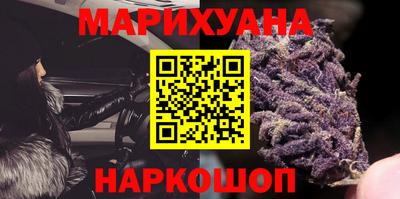 PSILOCYBIN Гатчина