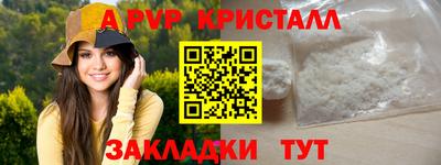 PSILOCYBIN Гатчина