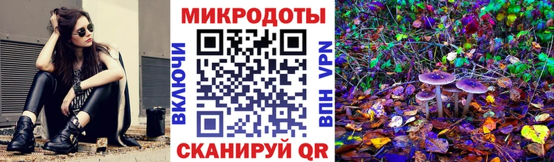 сколько стоит  Луга  ссылка на мегу как зайти  Галлюциногенные грибы прущие грибы 