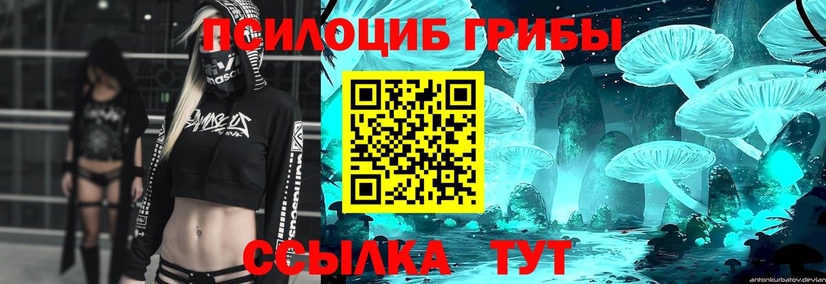Галлюциногенные грибы GOLDEN TEACHER  Галлюциногенные грибы GOLDEN TEACHER  Вход с VPN  Луга 