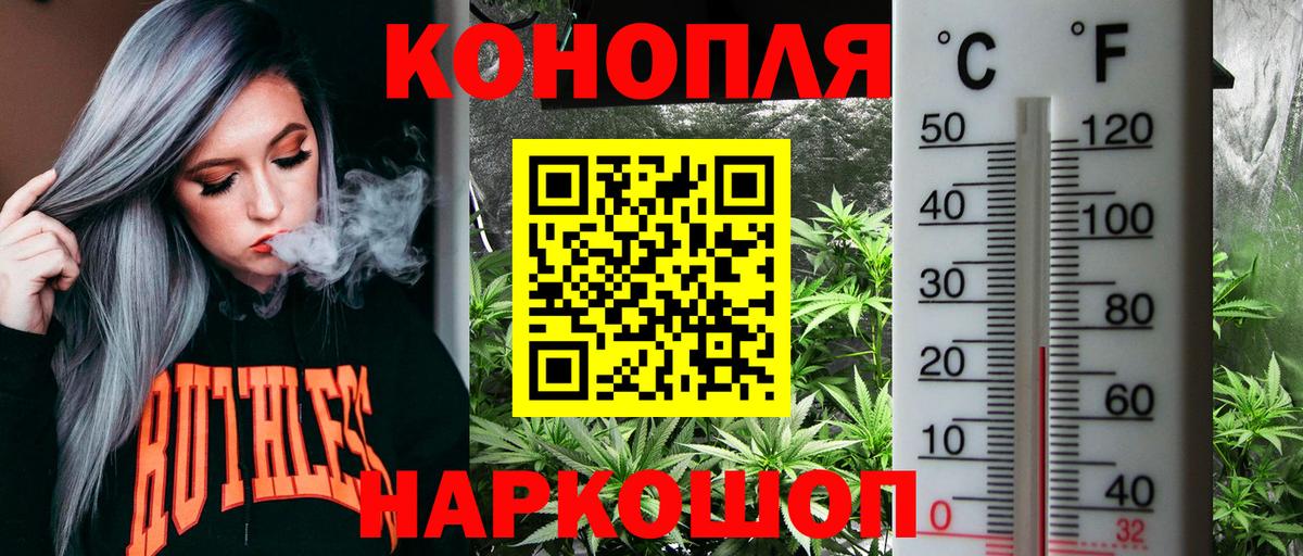 Луга  Бошки марихуана SATIVA & INDICA  Вход с VPN  Шишки марихуана MAZAR  Бошки Шишки White Widow  Марихуана OG Kush 